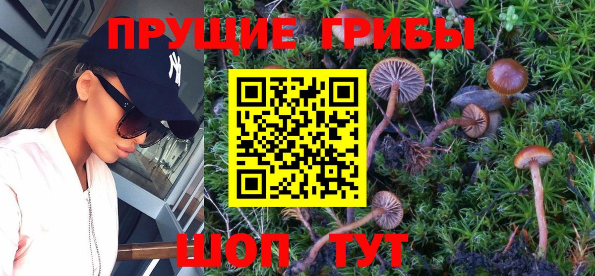 Галлюциногенные грибы Cubensis Семёнов